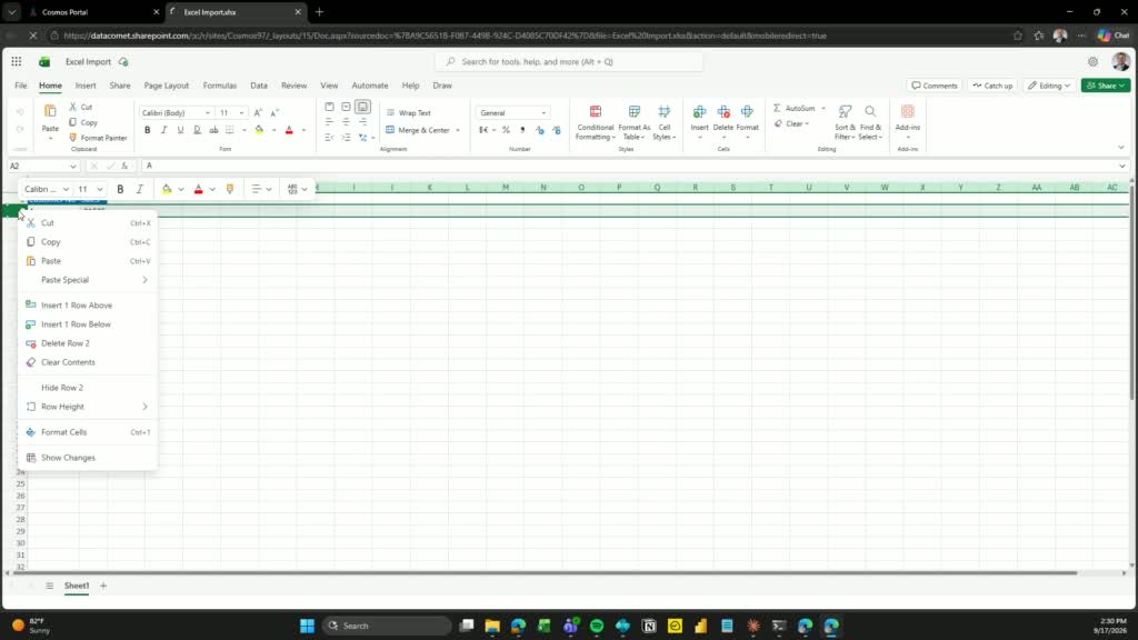 Excel file open with right-click context menu showing Insert Row option